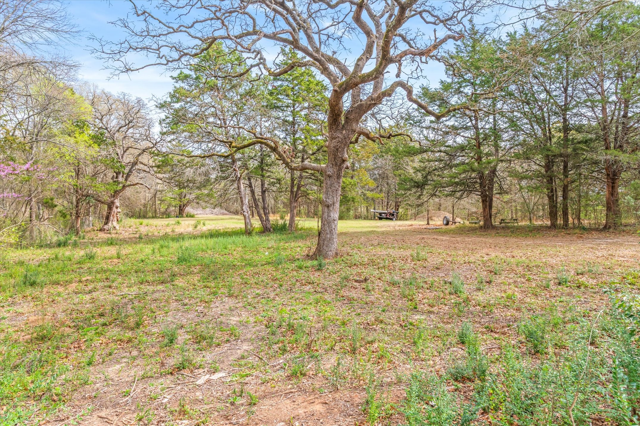 700 Amy Street Canton TX 75103