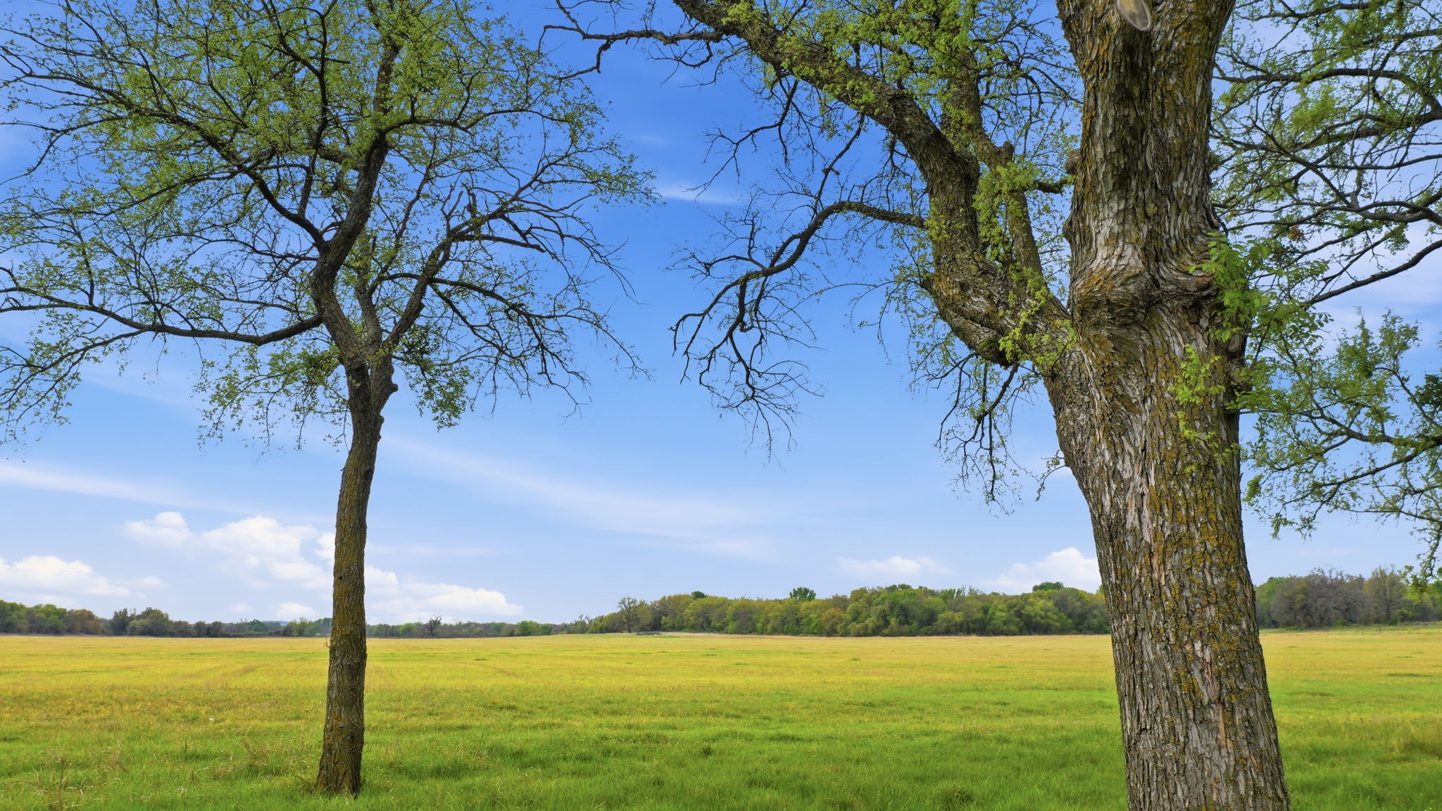 10875 Brock Highway Lipan TX 76462