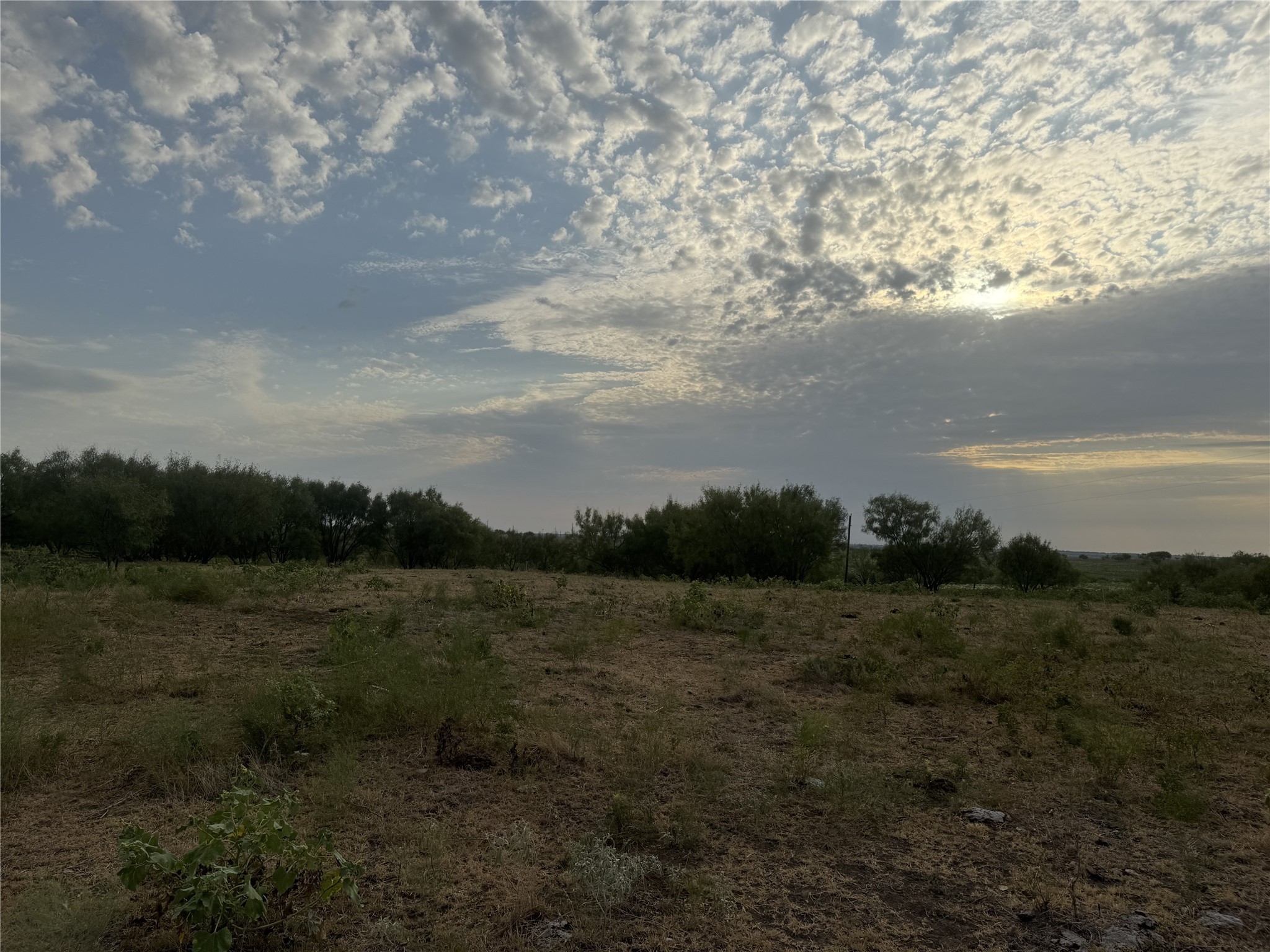 381 Private Road 4512 Decatur TX 76234
