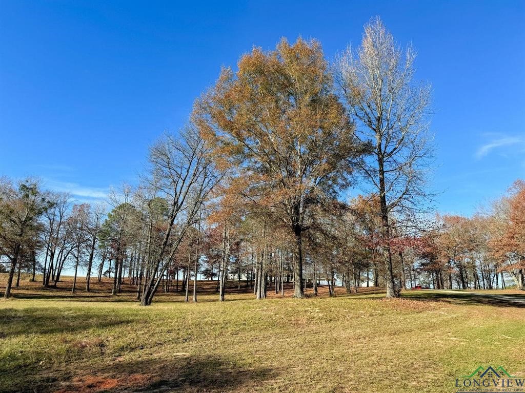 9791 Farm To Market 251 South S Bivins TX 75555