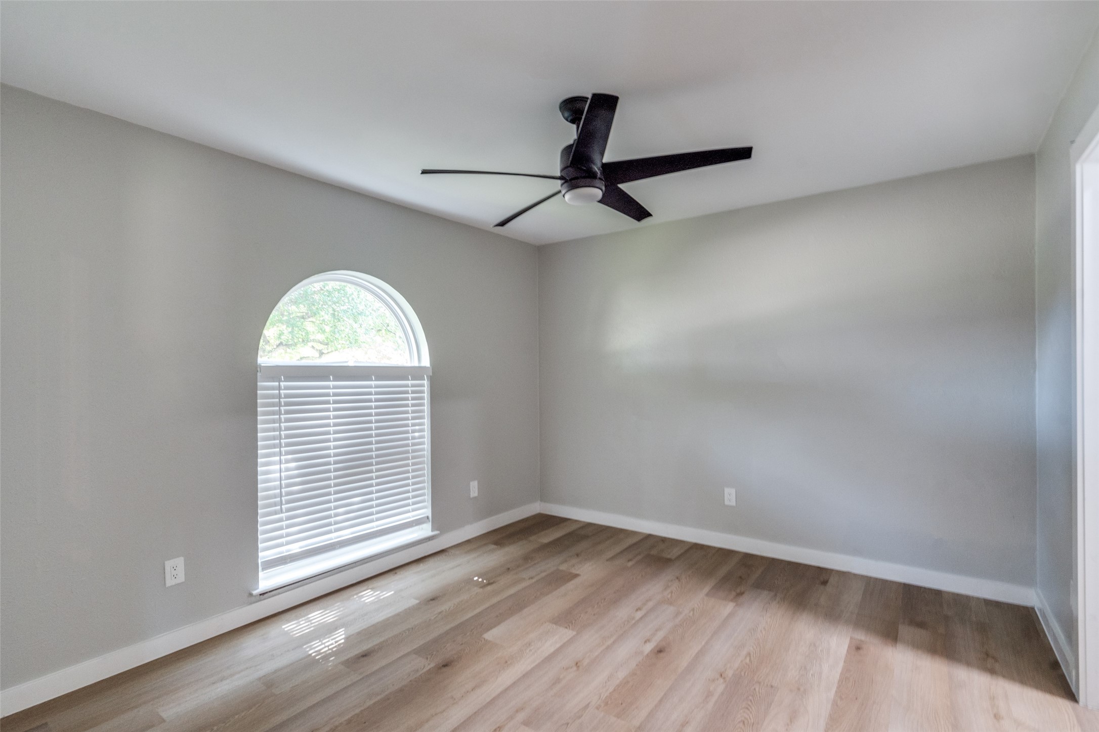 2625 Mollimar Drive Plano TX 75075