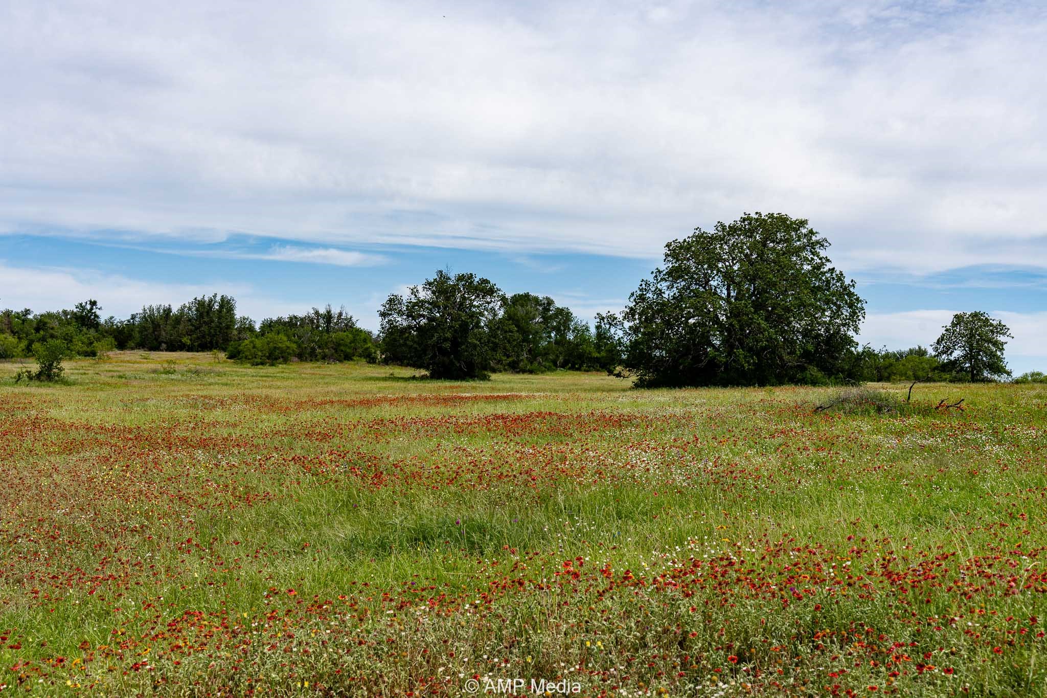 17921 Tx-16 Comanche TX 76442