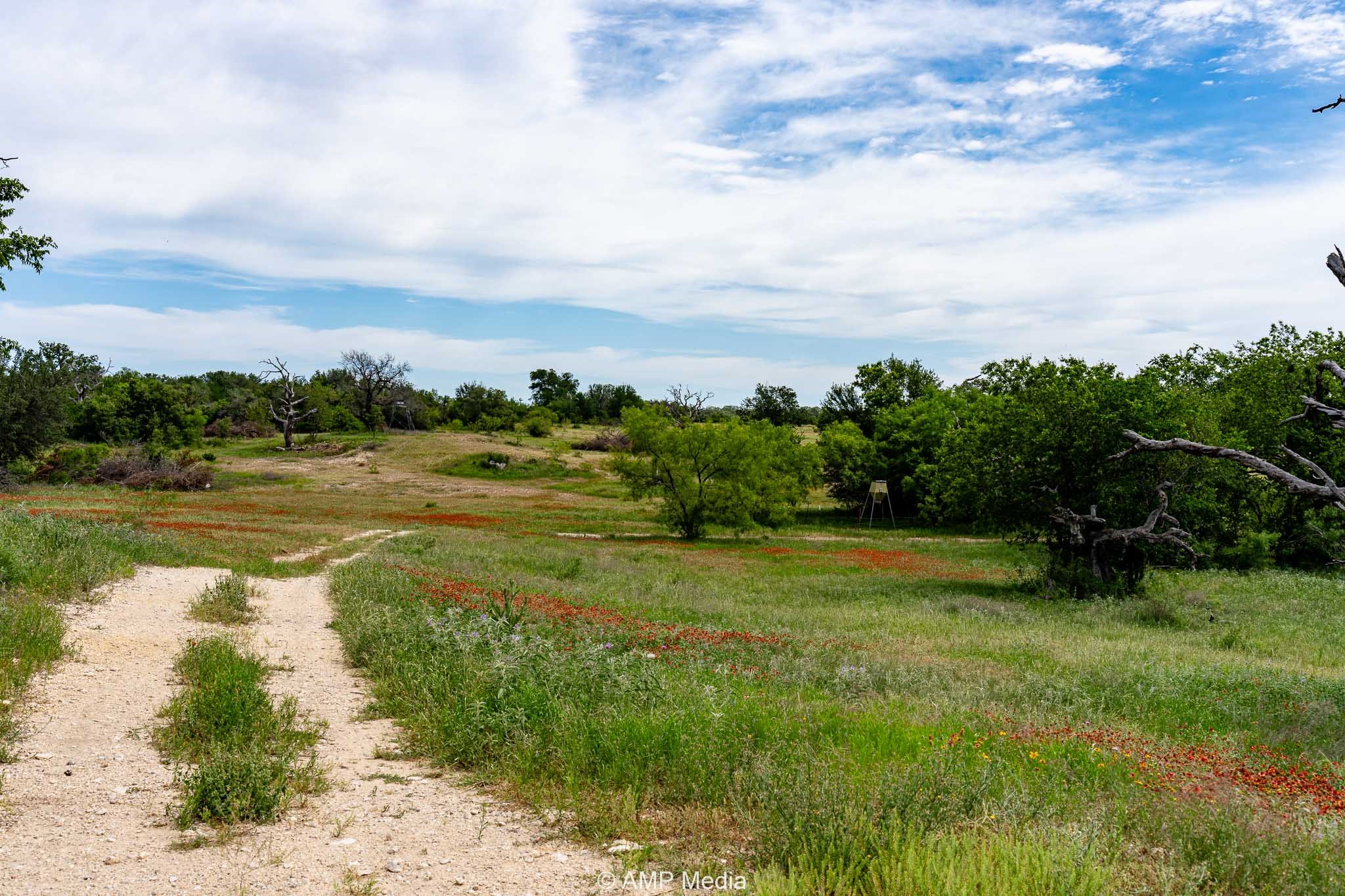 17921 Tx-16 Comanche TX 76442