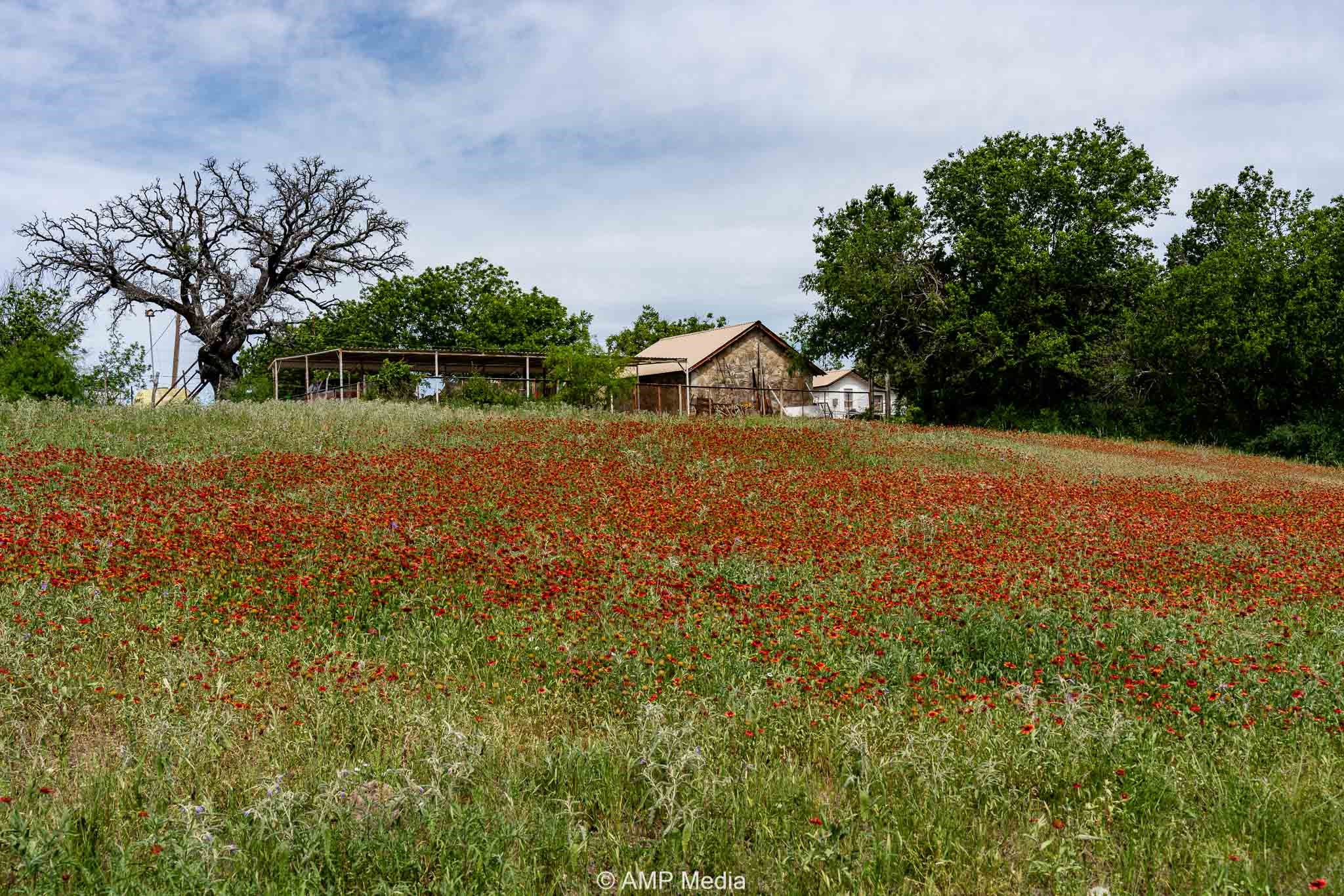 17921 Tx-16 Comanche TX 76442