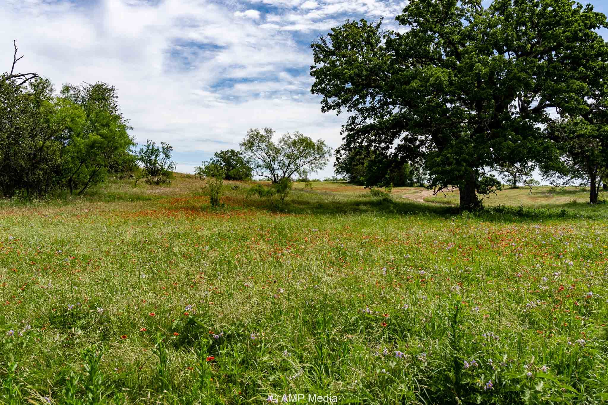 17921 Tx-16 Comanche TX 76442