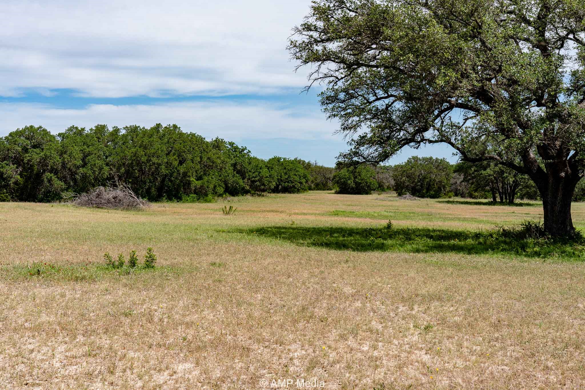 17921 Tx-16 Comanche TX 76442