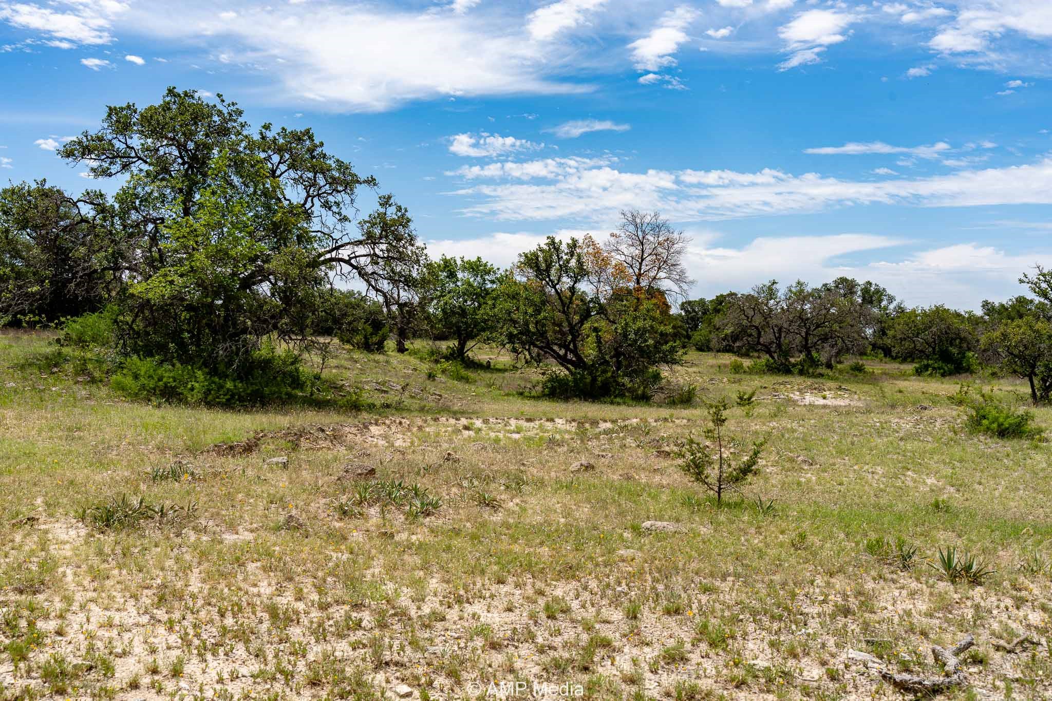 17921 Tx-16 Comanche TX 76442