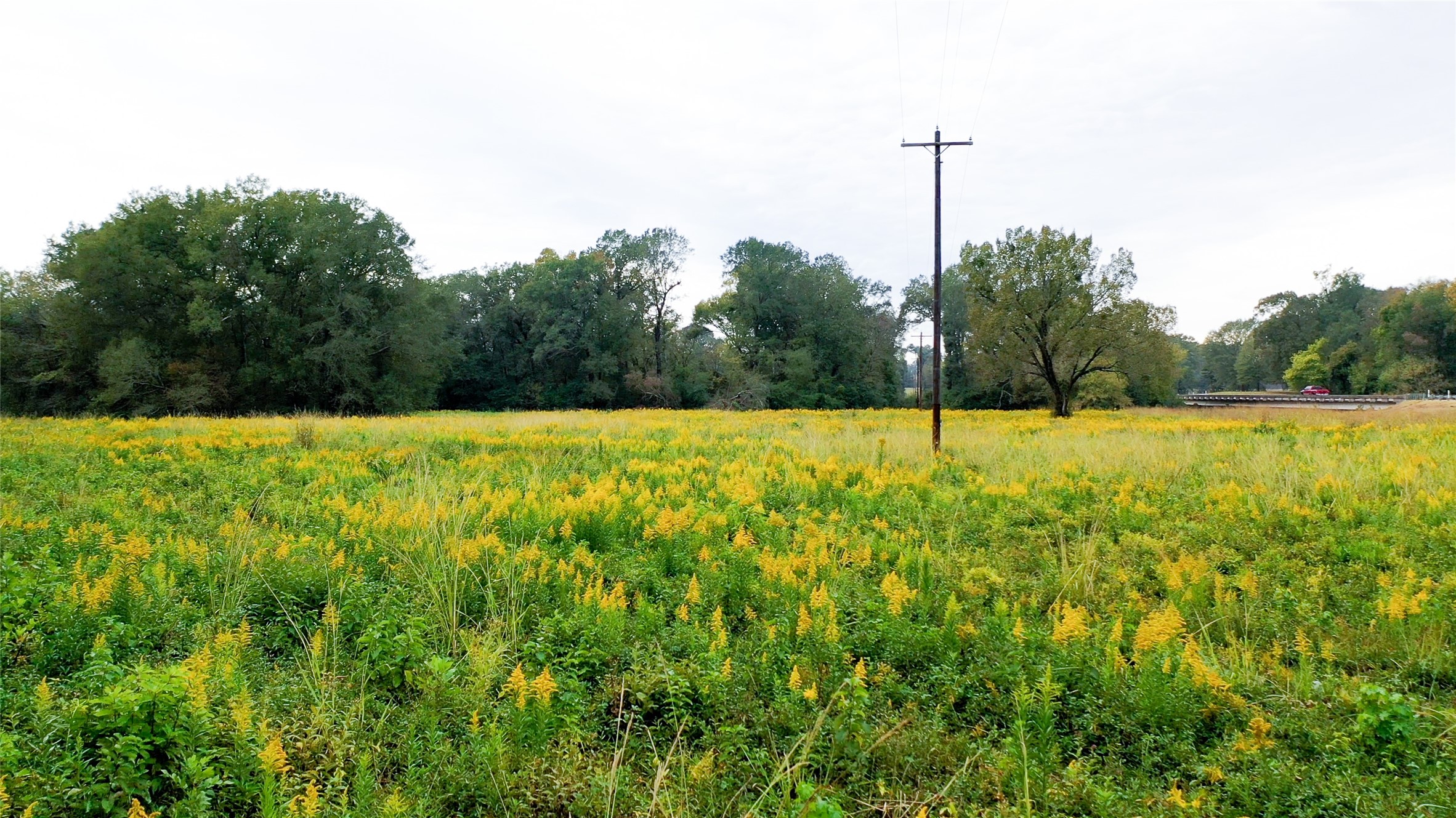 5015 561 Road Simms TX 75574