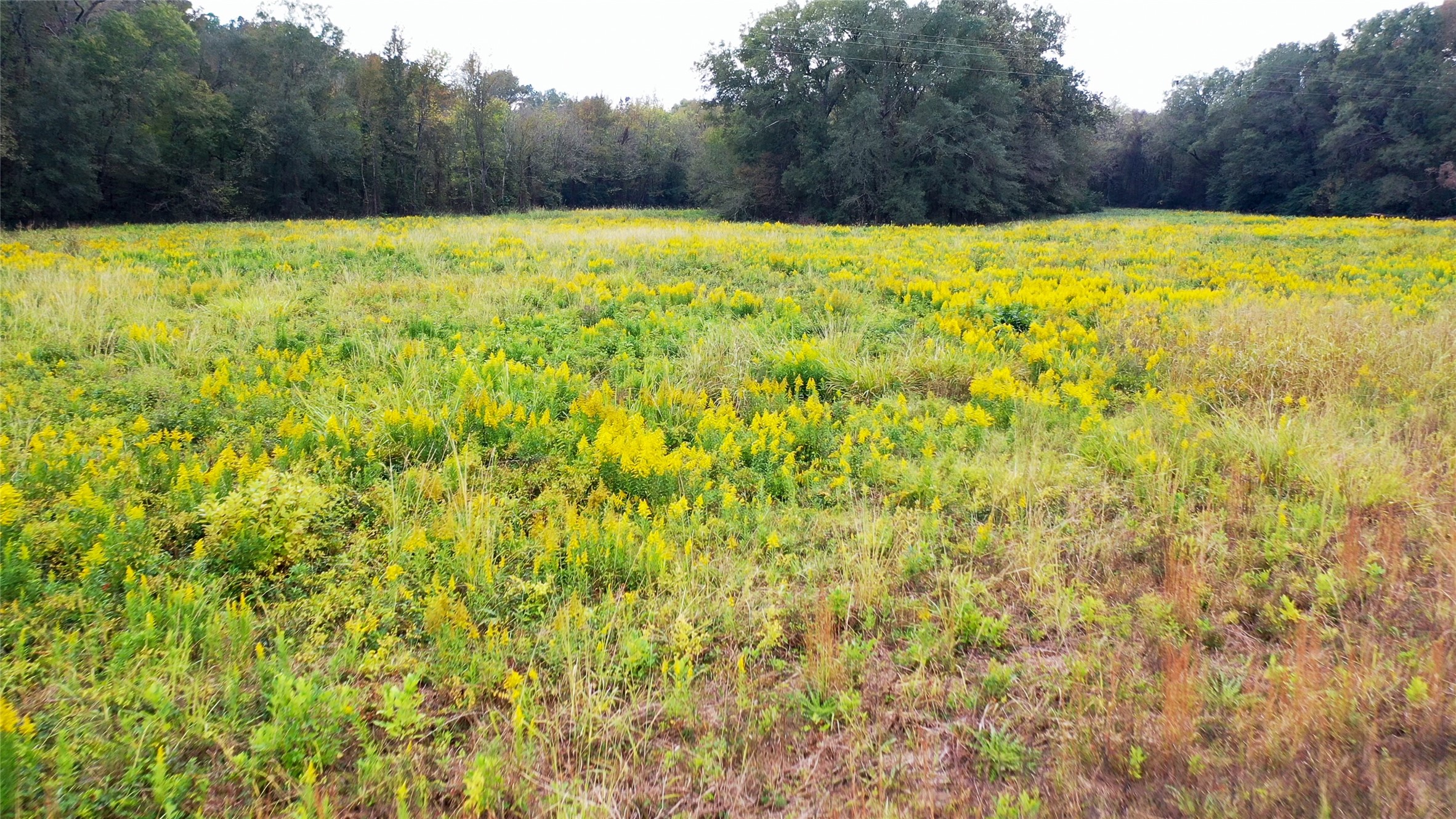 5015 561 Road Simms TX 75574