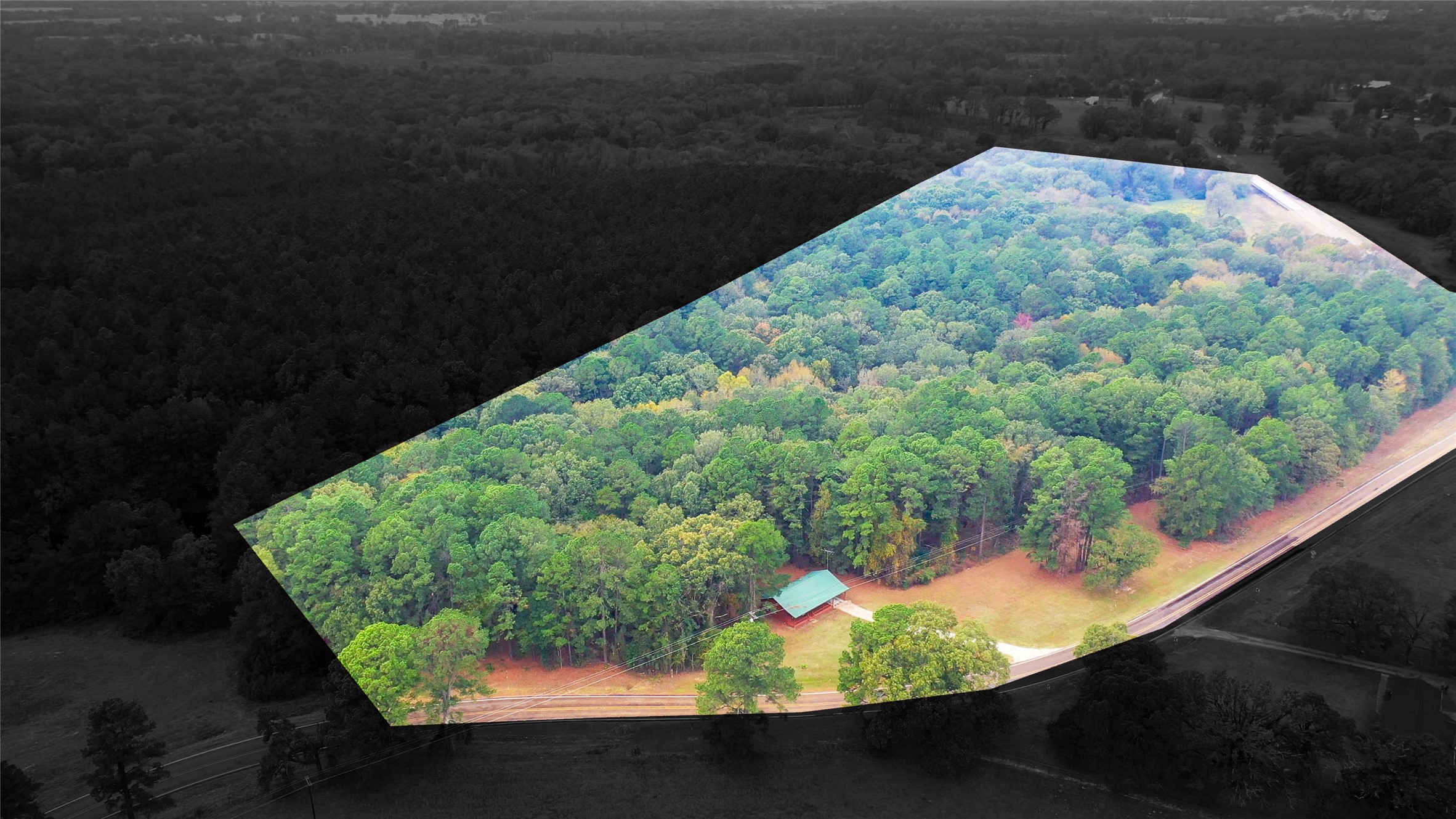 5015 561 Road Simms TX 75574