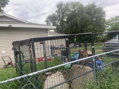 320 Hiawatha Quinlan TX 75474
