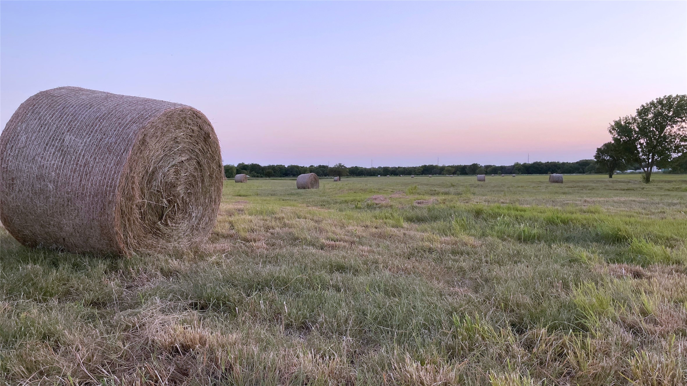 784 Fm 55 Waxahachie TX 75165