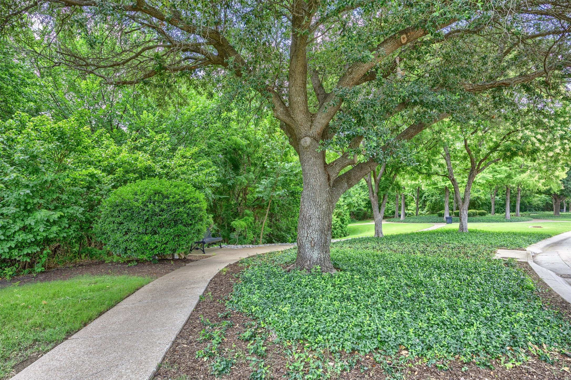 419 Scarlet Drive Mckinney TX 75072