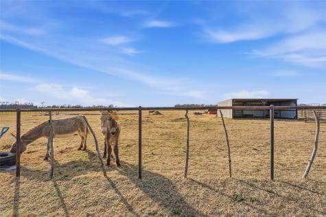 10917 County Road 290 Anna TX 75409