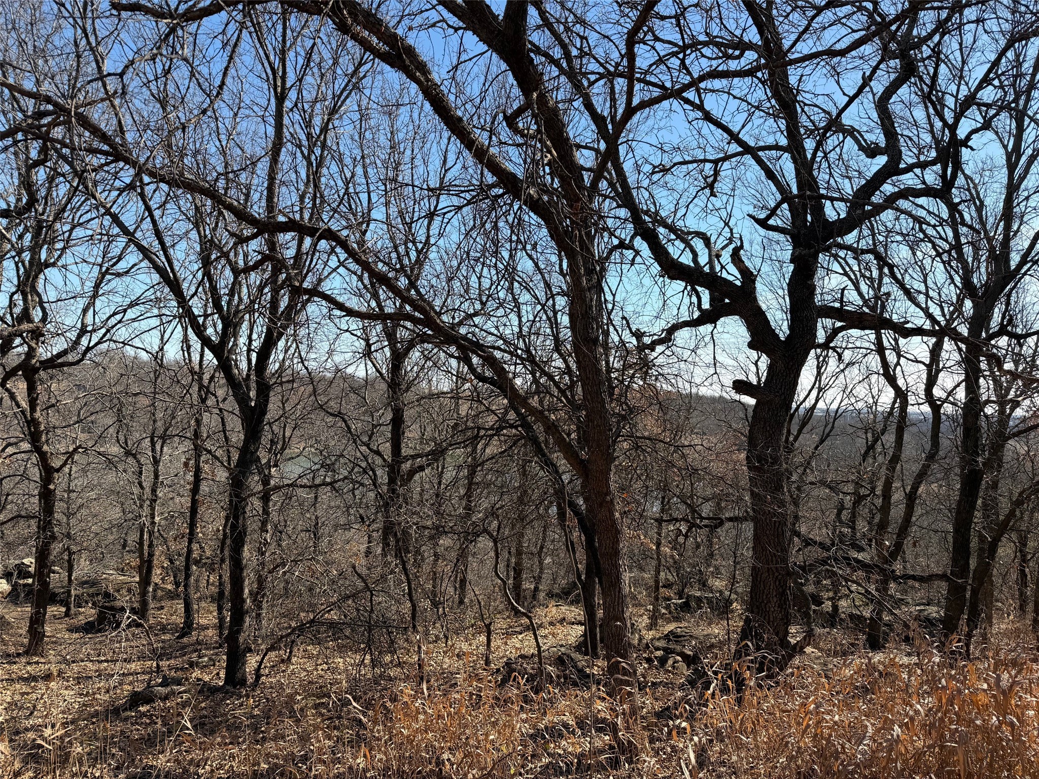 150 Timber Ridge Lake Road Graham TX 76450
