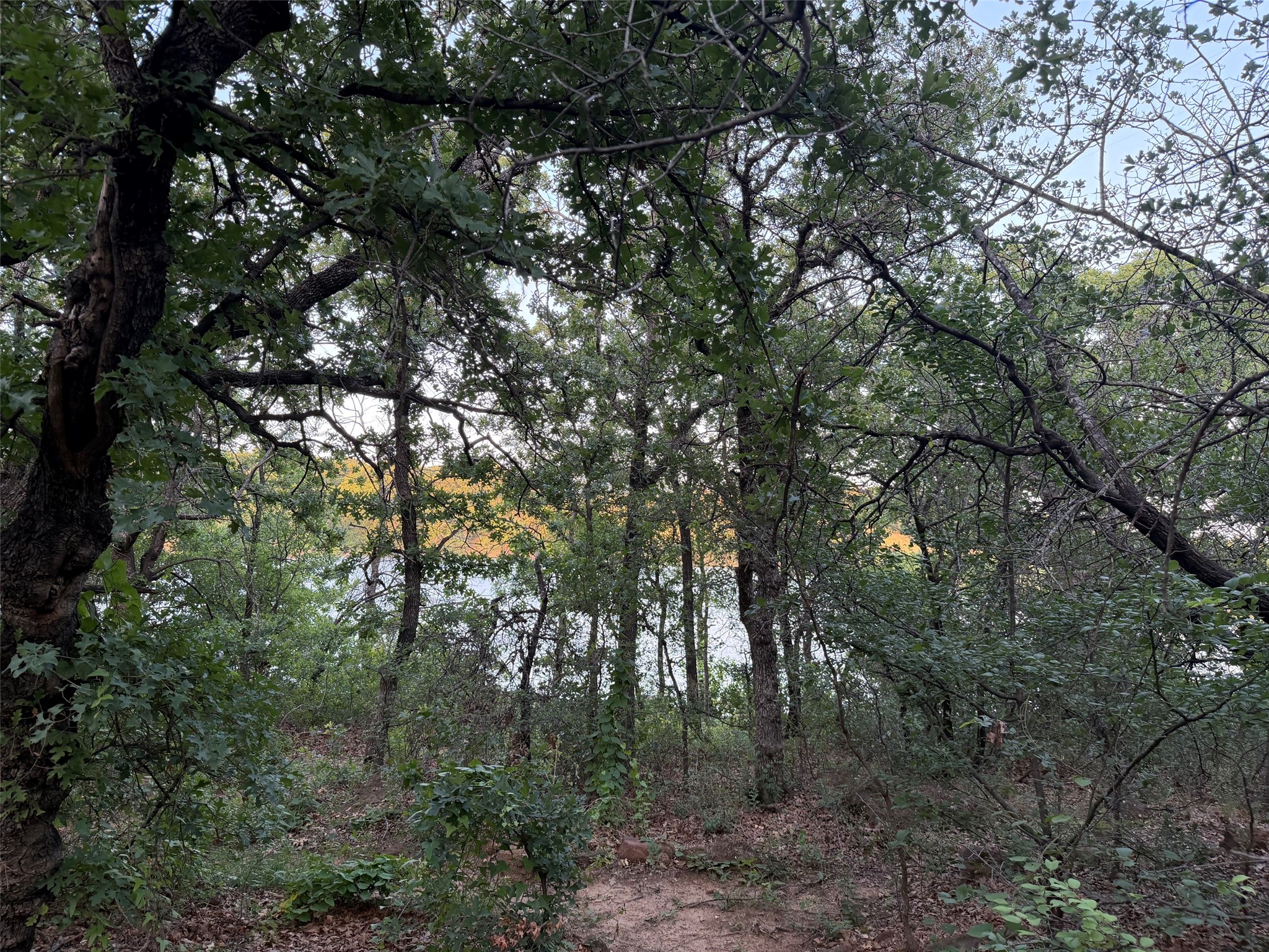 150 Timber Ridge Lake Road Graham TX 76450