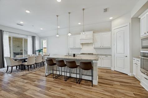 1221 Whitewing Dove Drive Little Elm TX 75068