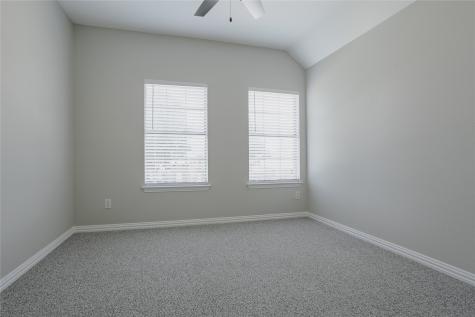 3028 Reagenea Drive Wylie TX 75098