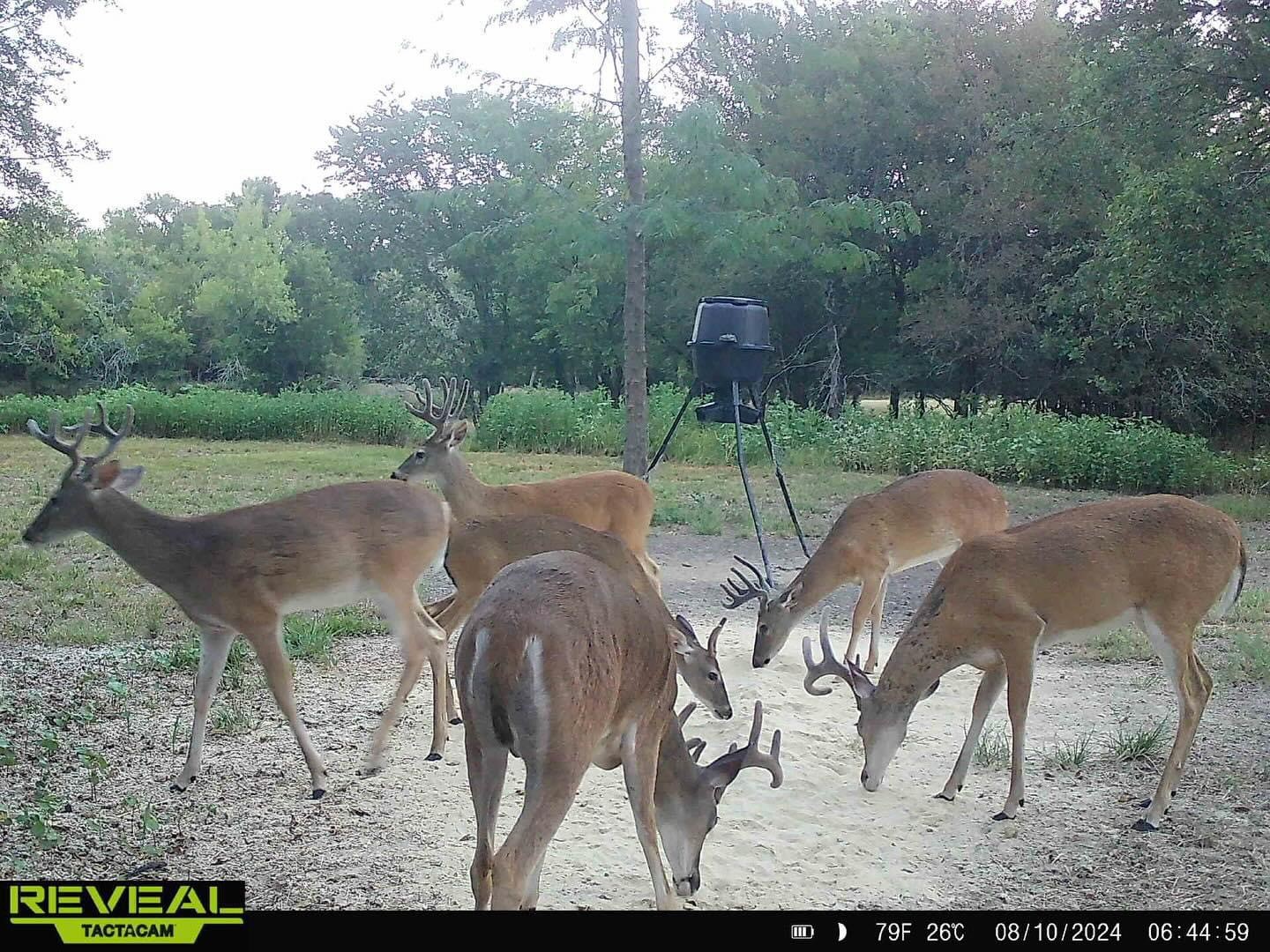 2588 County Road 2510 Quinlan TX 75474