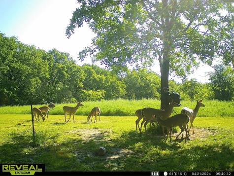 2588 County Road 2510 Quinlan TX 75474