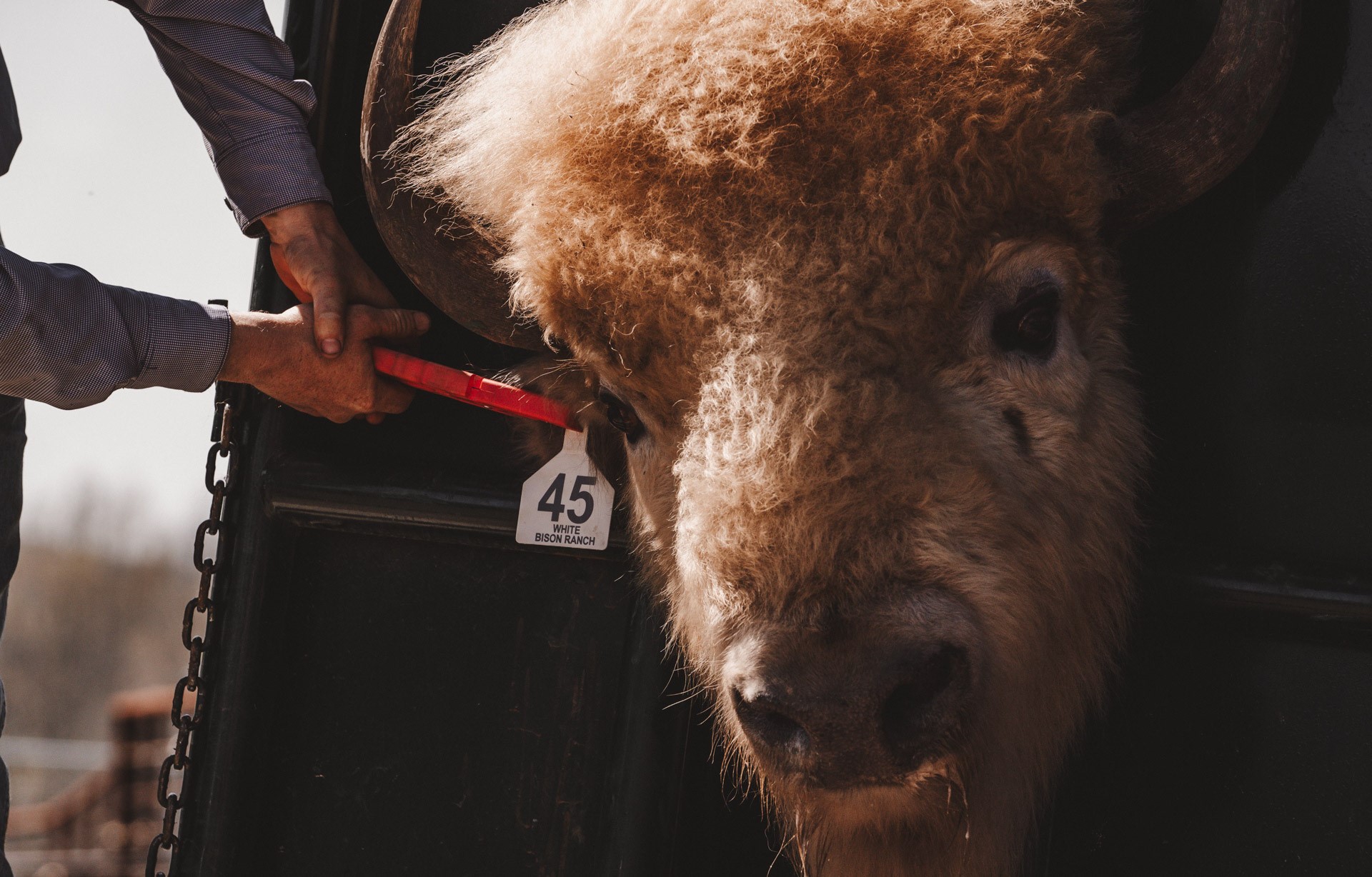 6700 Valley View Drive Athens TX 75752