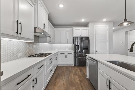 436 Desert Willow Drive Little Elm TX 75068