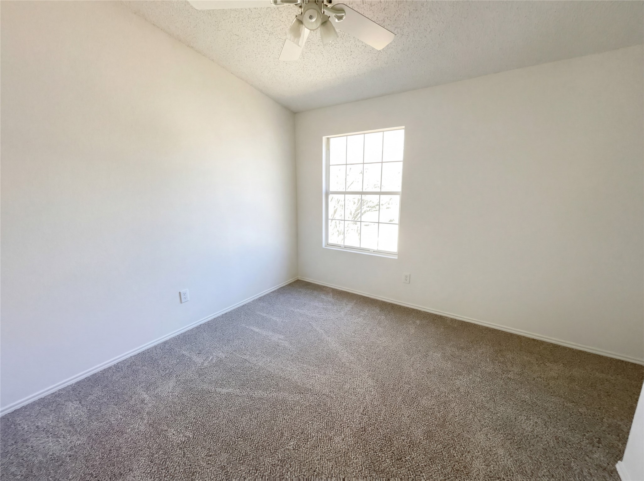 2516 Dahlia Drive Fort Worth TX 76123