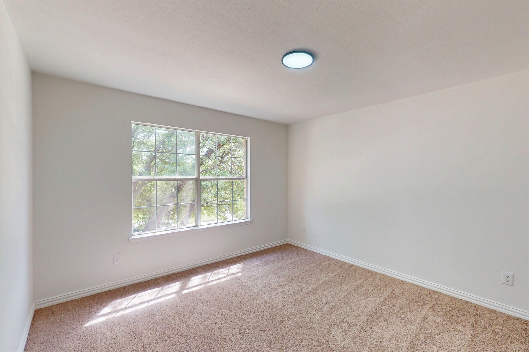 12629 Black Cherry Lane Fort Worth TX 76040