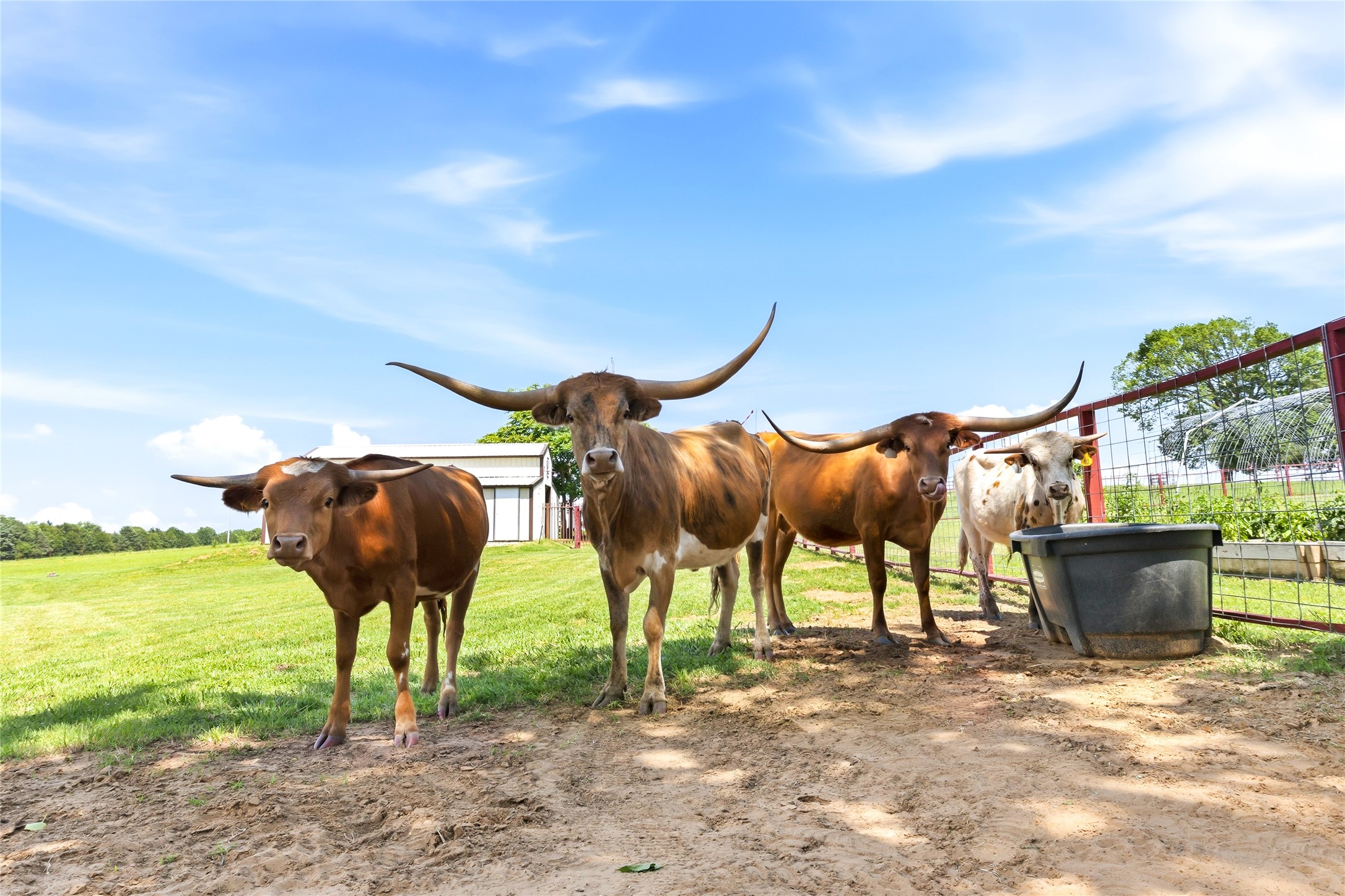 235 Magnus Road Denison TX 75021