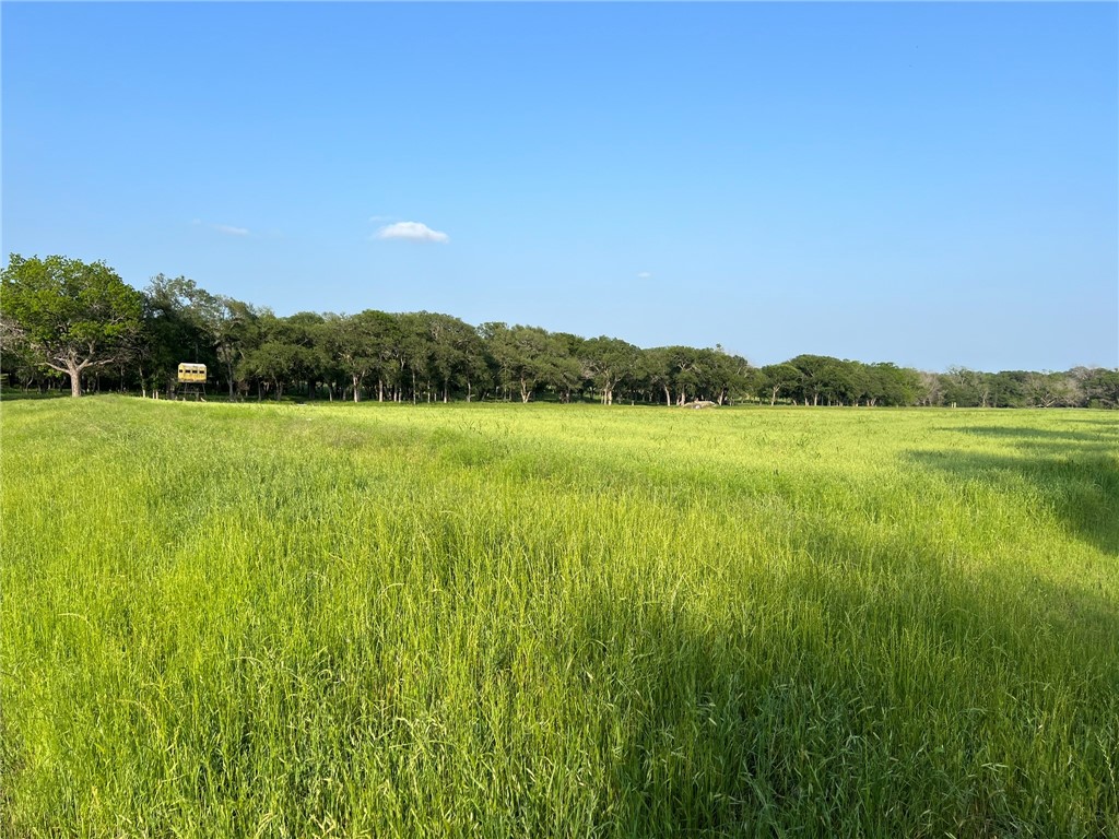 100 Creek 3207b Road Clifton TX 76634