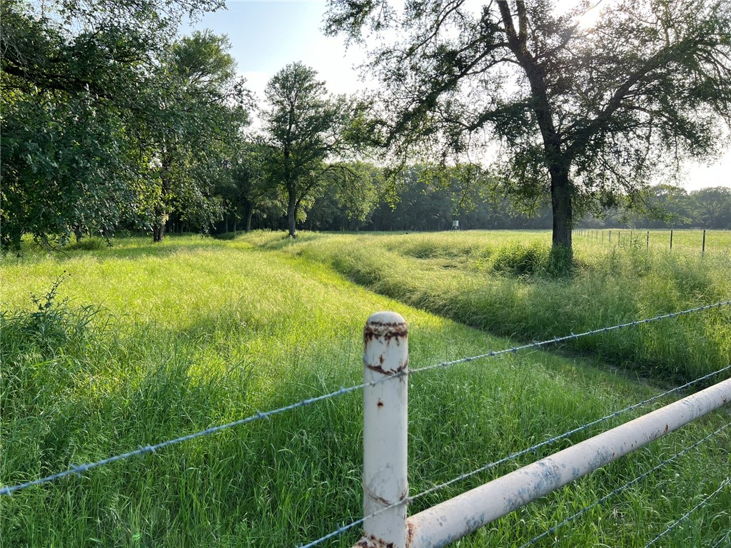 100 Creek 3207b Road Clifton TX 76634