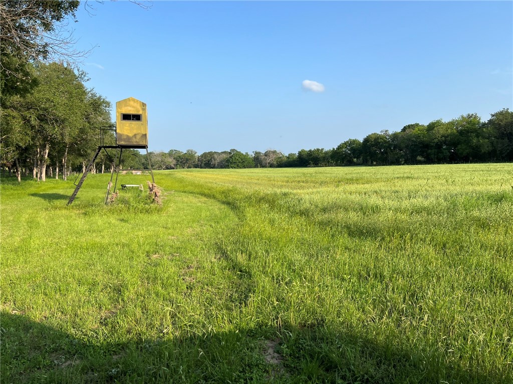 100 Creek 3207b Road Clifton TX 76634