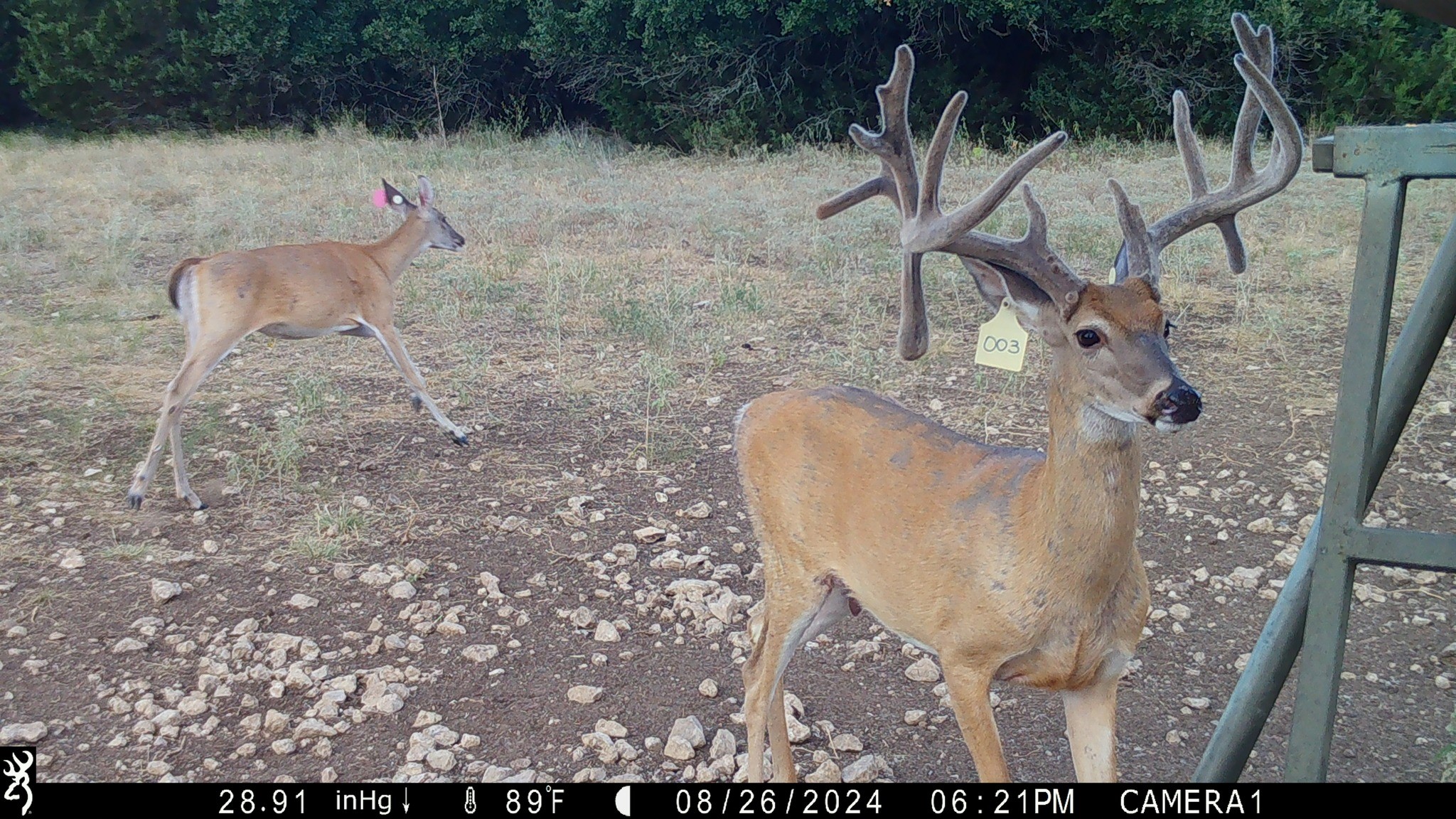 120 Private Road 2123 Meridian TX 76665