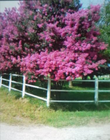 10761 County Road 348 Wills Point TX 75169