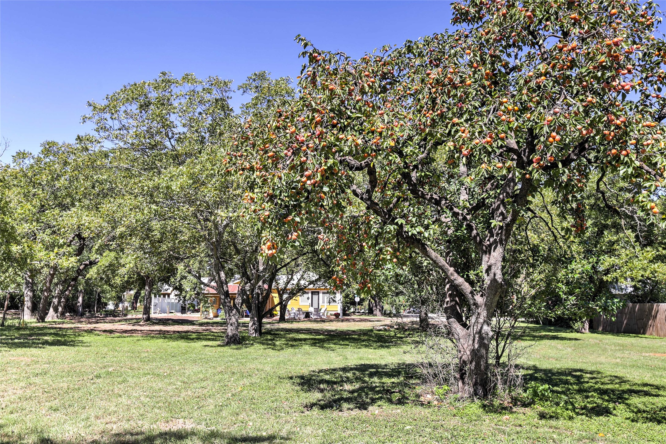 809 E Highway Street Fredericksburg TX 78624