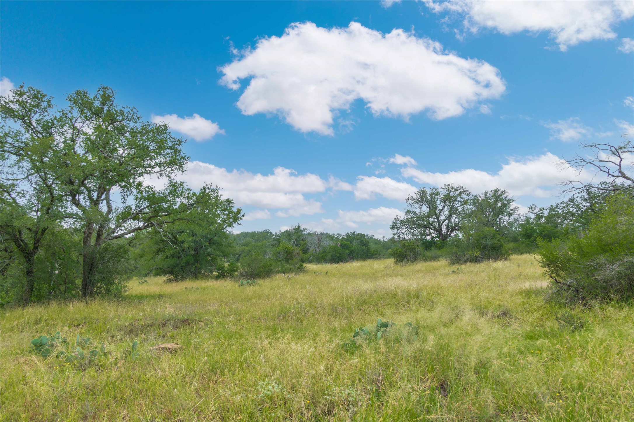 11814 Cr 266 Richland Springs TX 76871