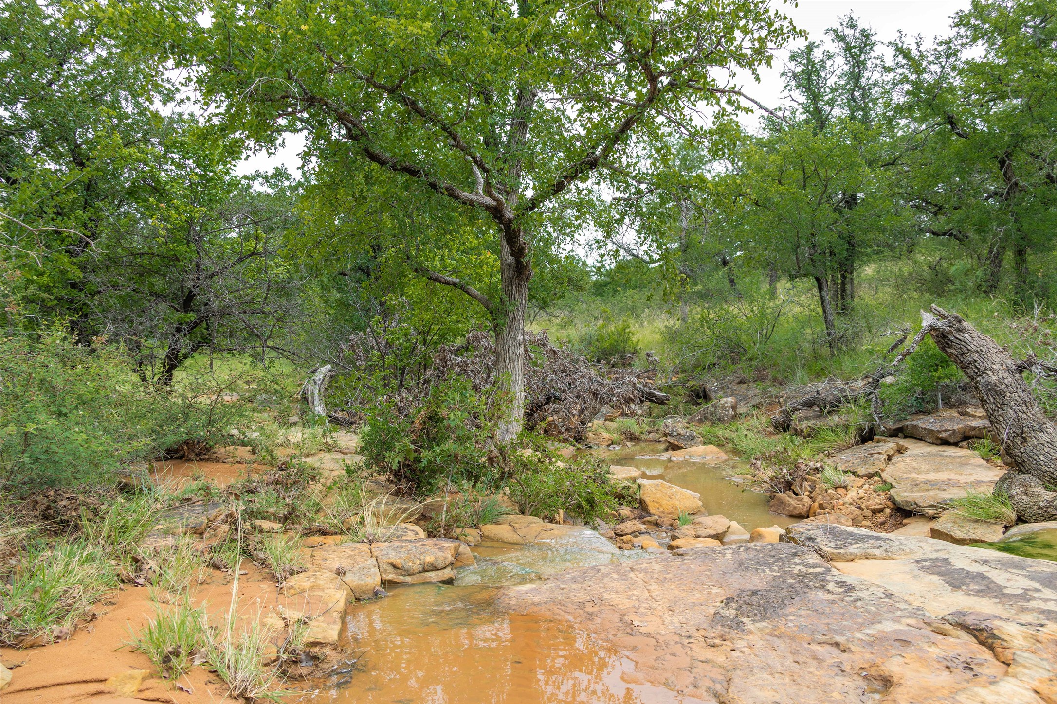 11814 Cr 266 Richland Springs TX 76871