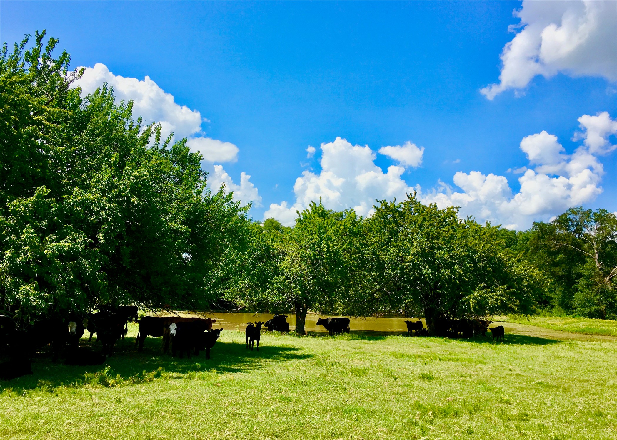 1476 County Road 2130 Telephone TX 75488