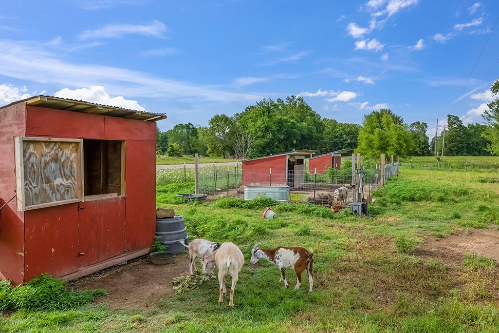 4798 County Road 4235 De Kalb TX 75559