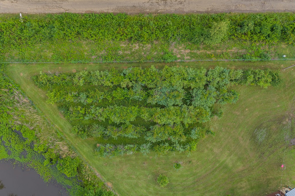 4798 County Road 4235 De Kalb TX 75559