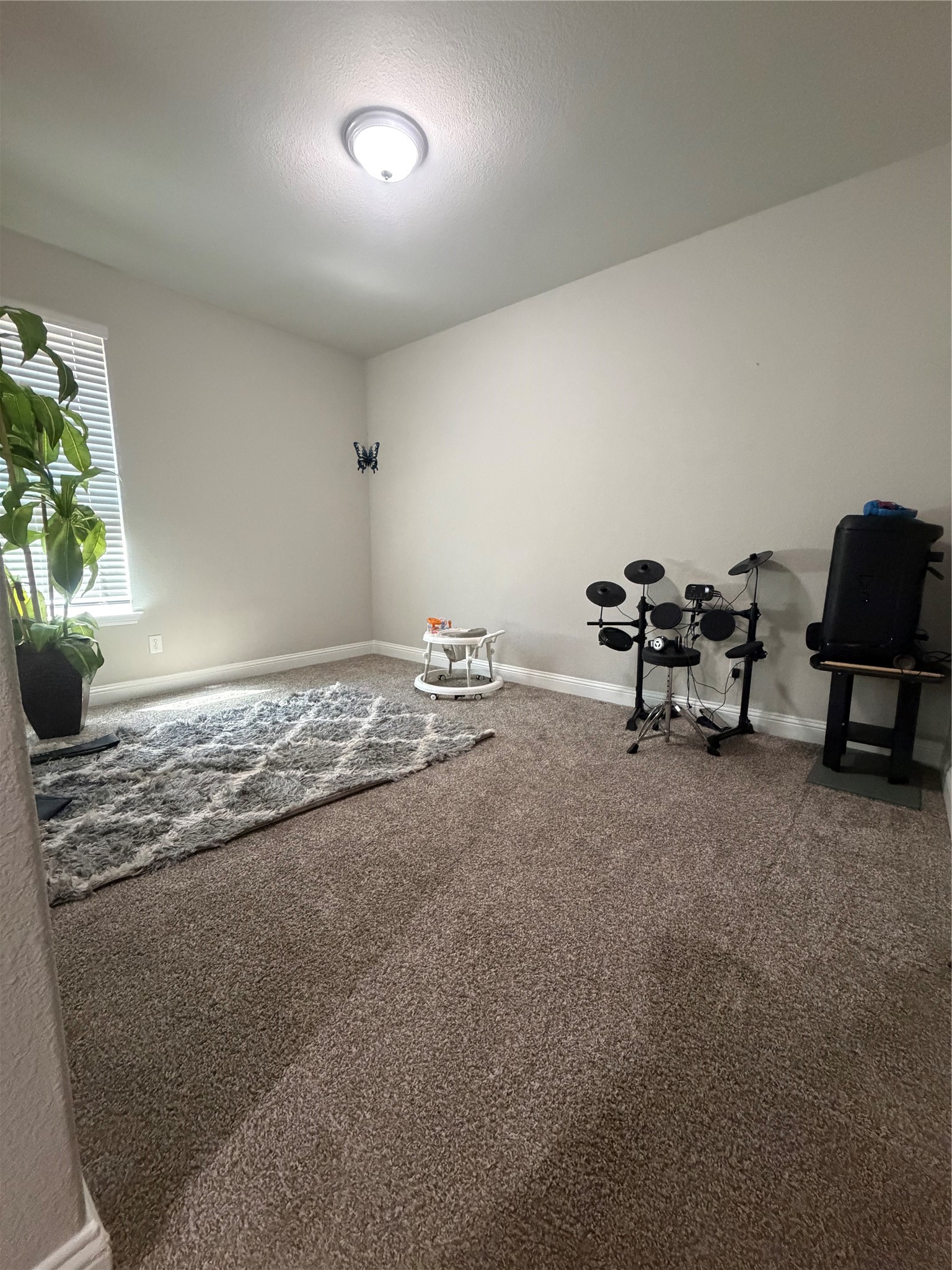1033 Almond Street Hickory Creek TX 75065