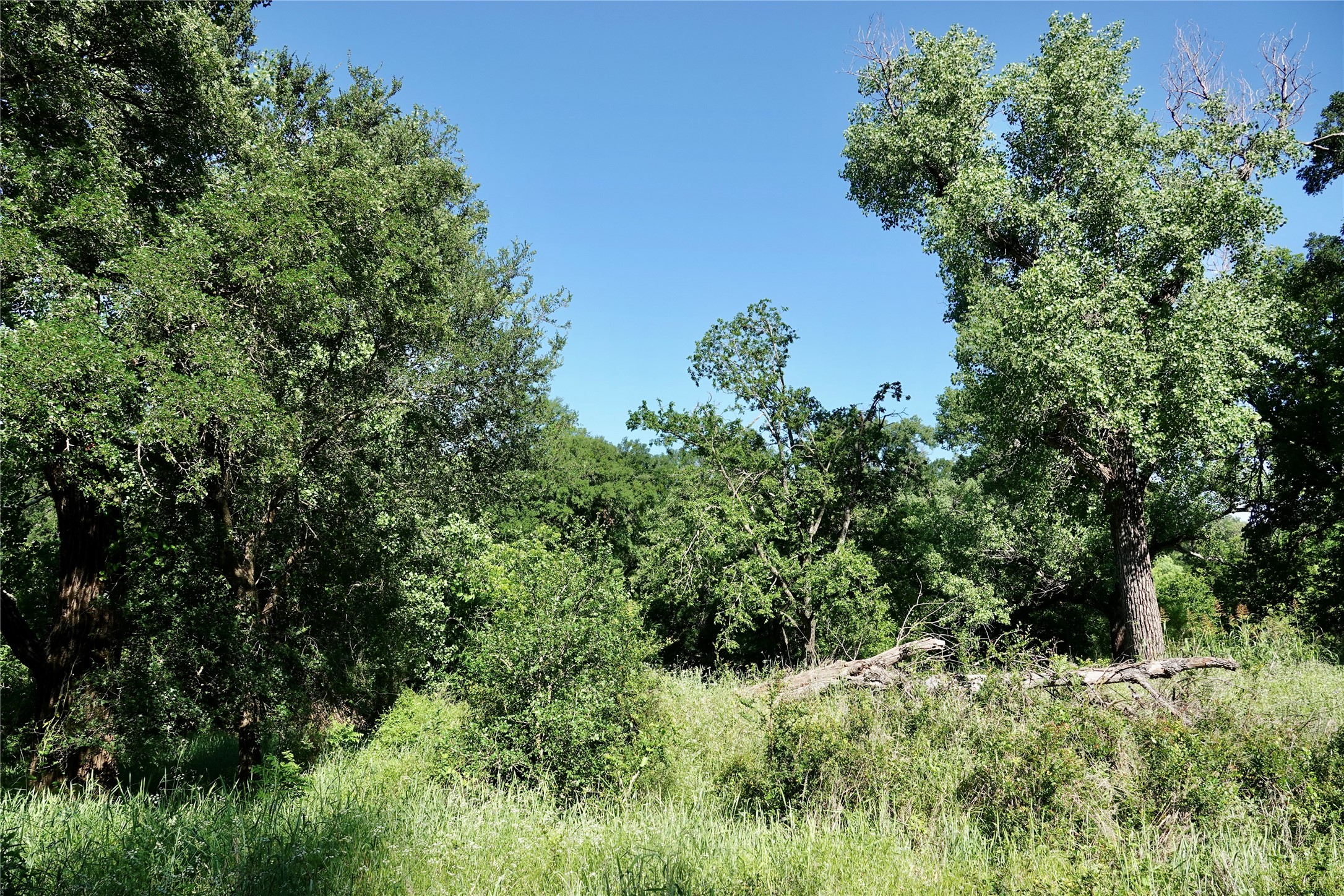 588 S County Road 430 Goldthwaite TX 76844