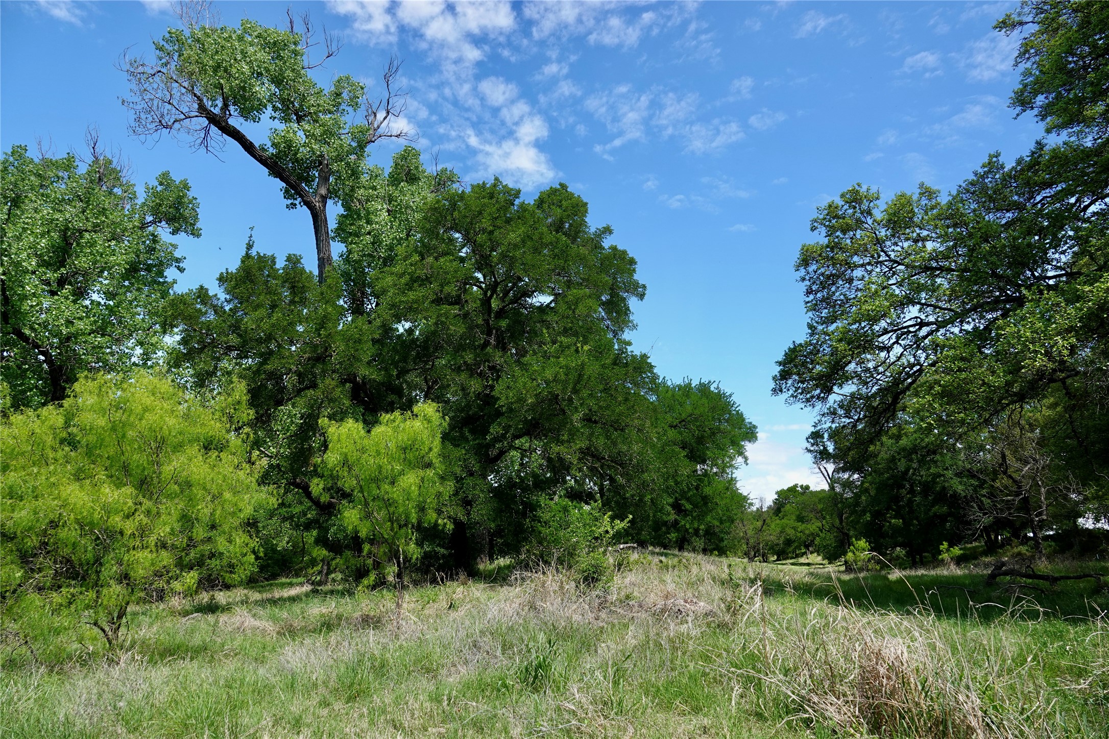 588 S County Road 430 Goldthwaite TX 76844