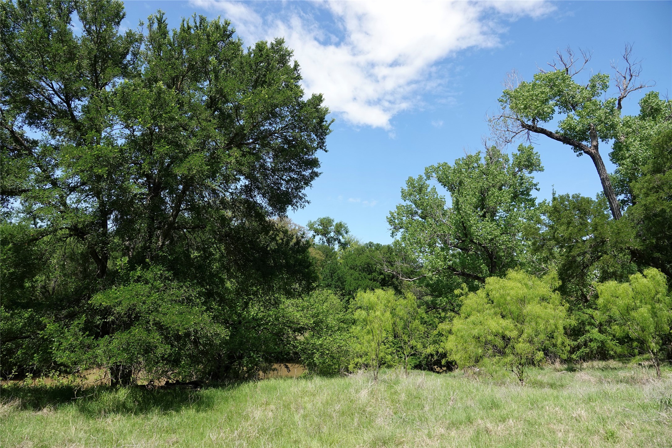 588 S County Road 430 Goldthwaite TX 76844