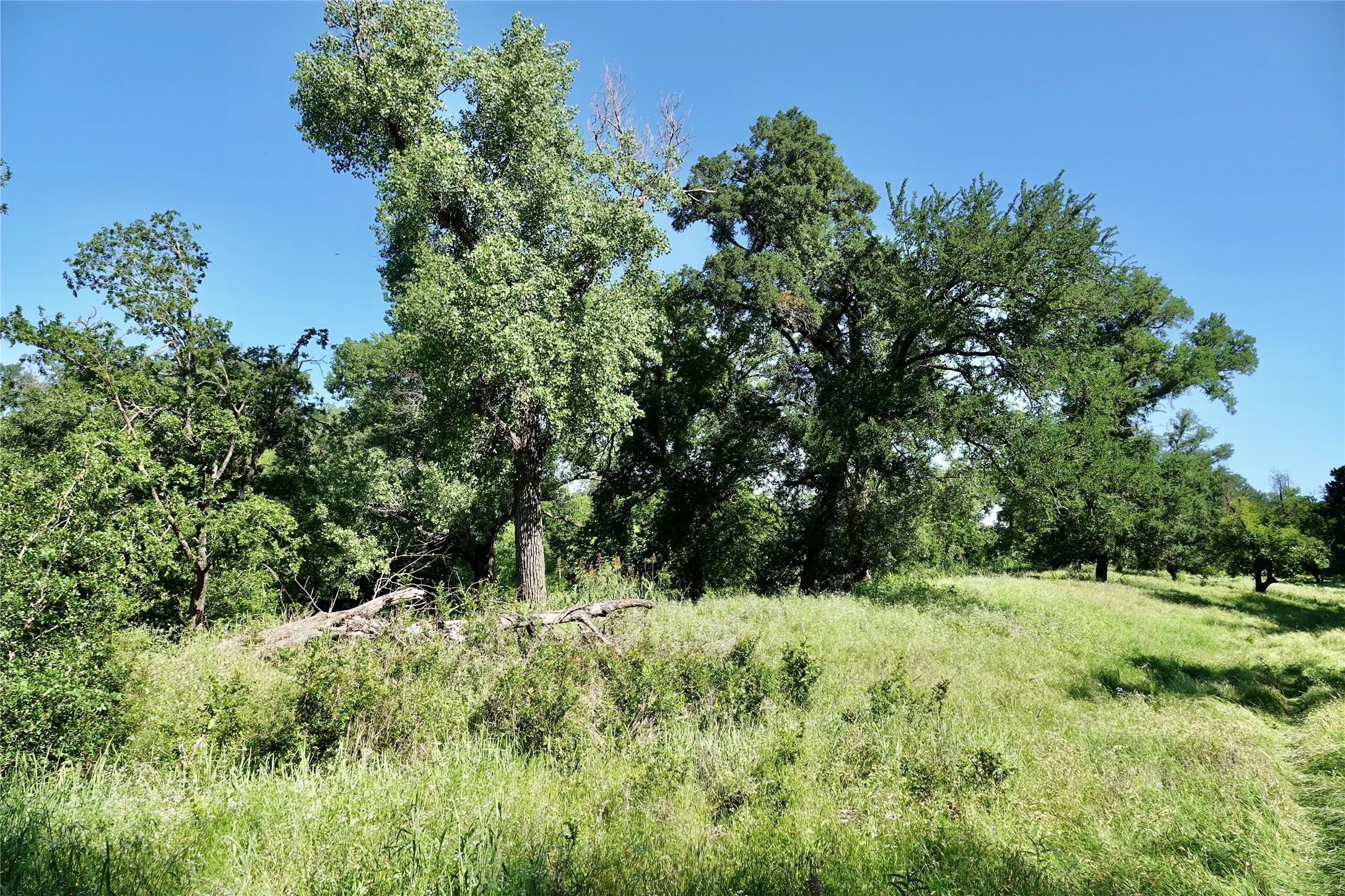588 S County Road 430 Goldthwaite TX 76844