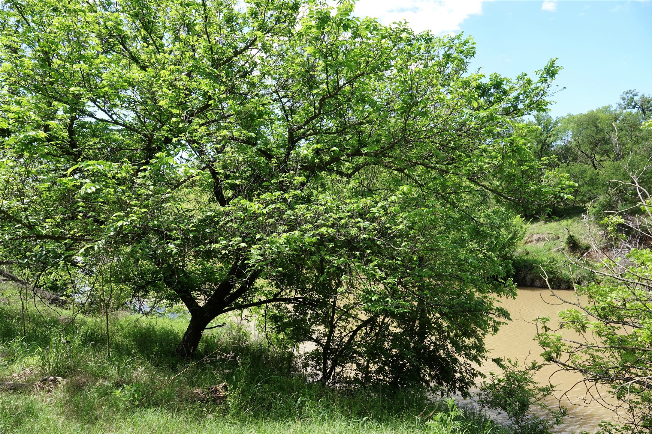 588 S County Road 430 Goldthwaite TX 76844