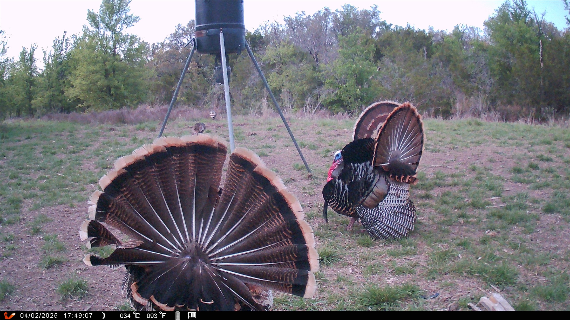 1642 County Road 234 Hico TX 76457