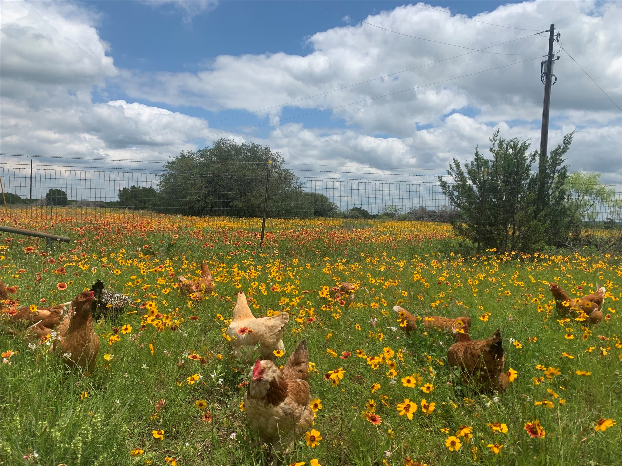 1642 County Road 234 Hico TX 76457