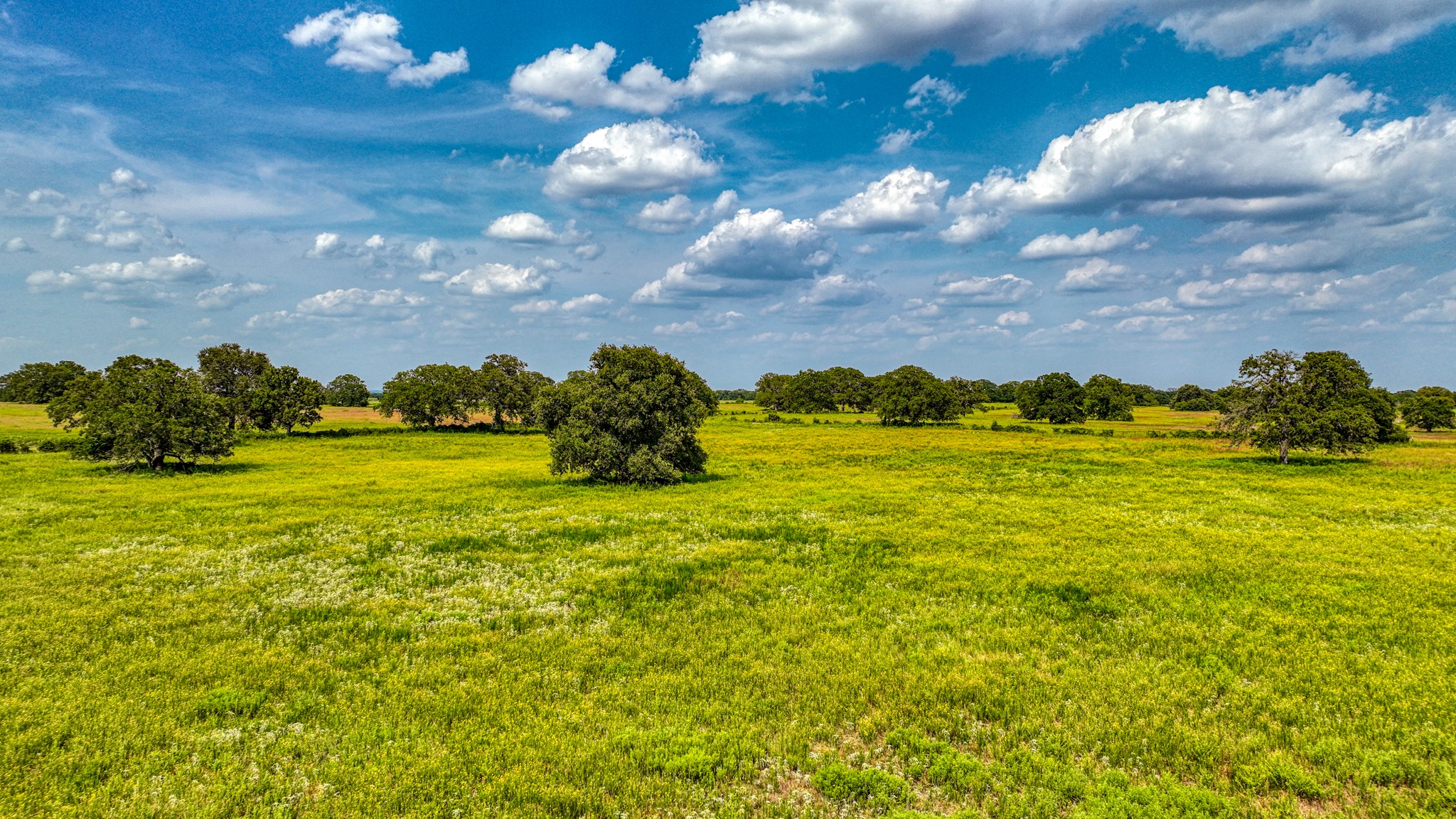 11500 Bowden Road Lipan TX 76462