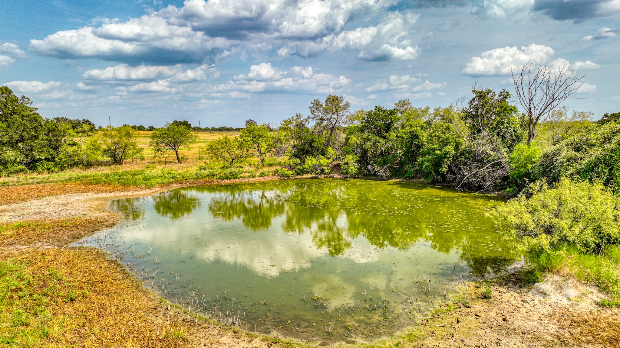 11500 Bowden Road Lipan TX 76462